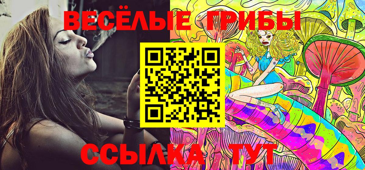 Галлюциногенные грибы MAGIC MUSHROOMS  Вход с VPN  Кизляр 
